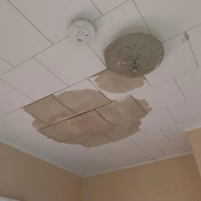 Ceiling Water Damage Repair in Jackson County, GA